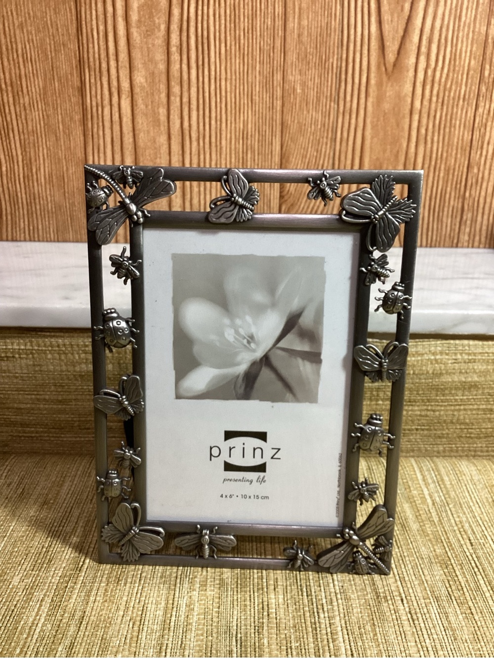 Silver Butterfly & Dragonfly and Beetle Bug Photo Frame - Silver holds 4x6